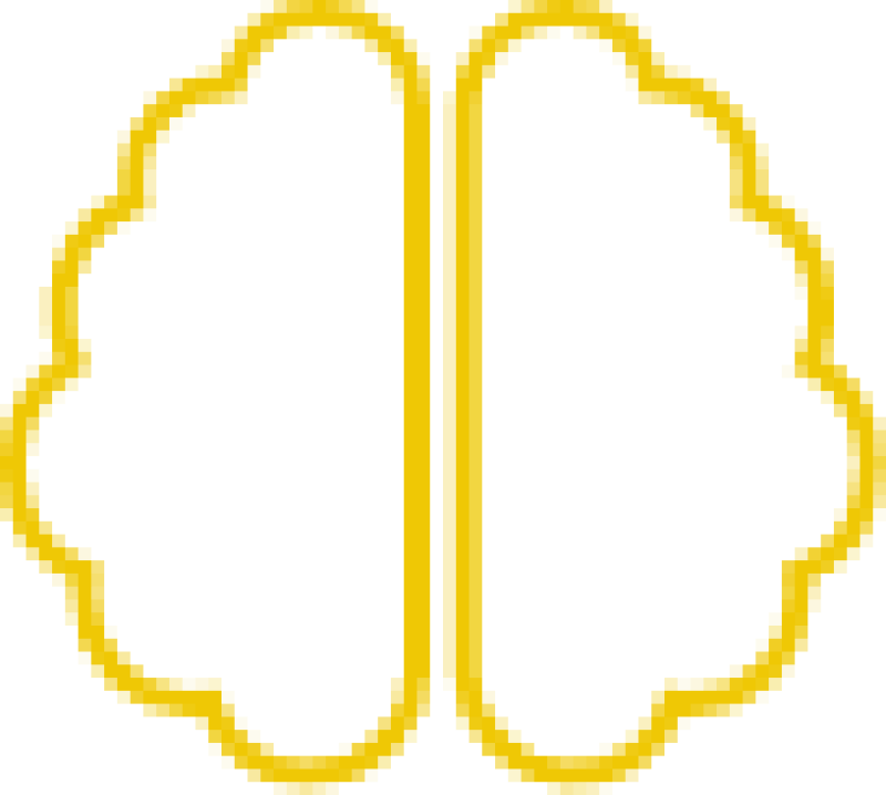 Brain