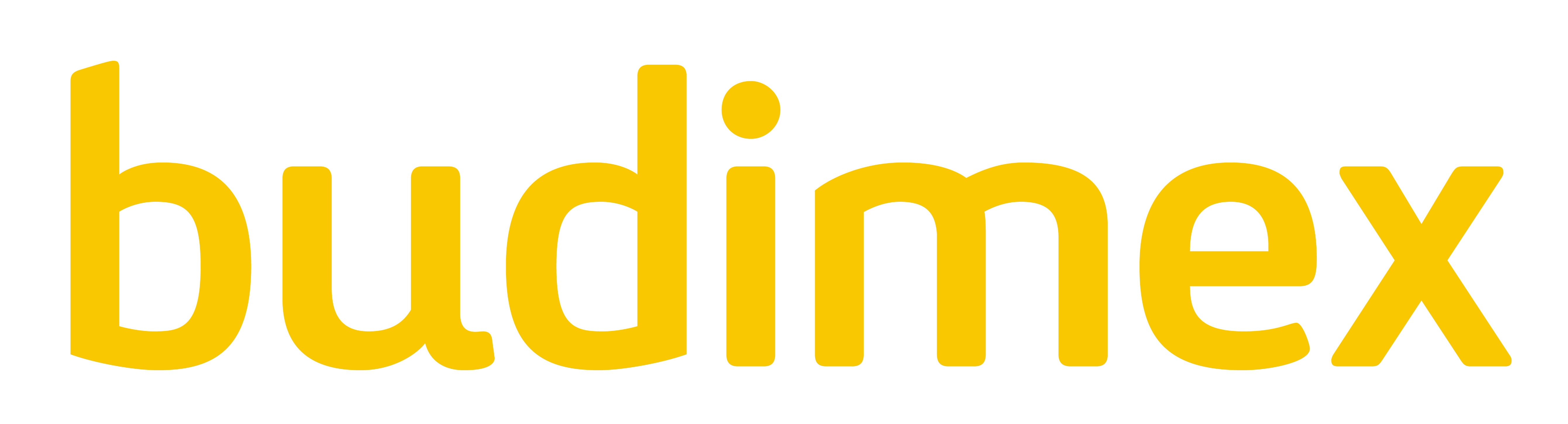 BUDIMEX SA